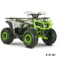 Квадроцикл YACOTA DRAGON