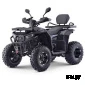 Квадроцикл бензиновый  MOTAX GRIZLIK W200