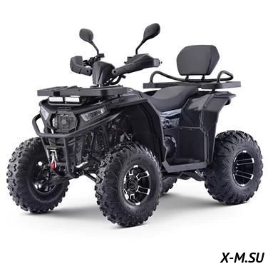 Квадроцикл бензиновый  MOTAX GRIZLIK W200 Квадроцикл бензиновый  MOTAX GRIZLIK W200