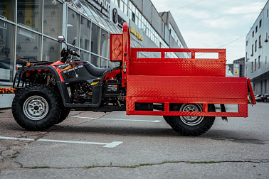 Квадроцикл CJ Termite 350