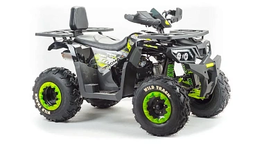 Квадроцикл PROMAX WILD 300 LUX (2024)