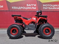 Квадроцикл PROMAX WILD 175 BASIC