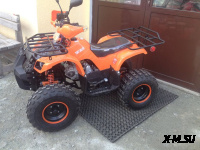 Квадроцикл ATV Termit Libre