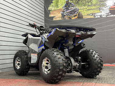 Квадроцикл GBM DAXTER 220 NEW PREMIUM