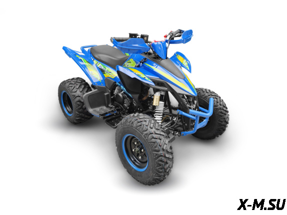 Квадроцикл YACOTA TYPHOON 250