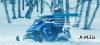 Снегоход Woideal WD 300