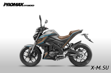 Мотоцикл PROMAX MT300